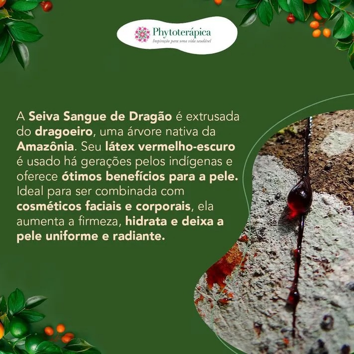 Seiva Sangue de Dragão 10ml – Phytoterápica - Imagem 4